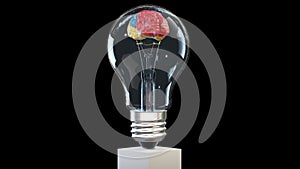 3D rendering of a brain rotating inside a lightbulb, great mind concept, loop, Alpha Channel