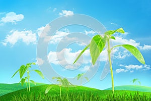 3d rendering of bright green grass and several young sprouts growing under blue sky and light clouds.