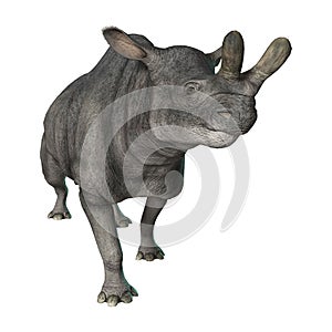 3D Rendering Brontotherium on White