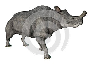 3D Rendering Brontotherium on Wjite