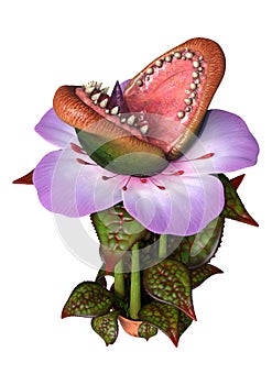 3D Rendering Carnivorous Plant on White