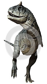 3D Rendering Carnotaurus Sastrei Dinosur on White