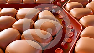 3d rendering of cells around of blood artery