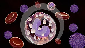 3d rendering of CMV or cytomegalovirus with erythrocytes and leukocytes