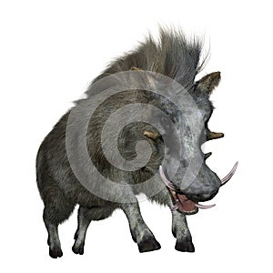 3D Rendering Common Warthog on White