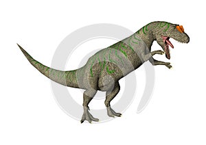 3D Rendering Dinosaur Allosaurus on White