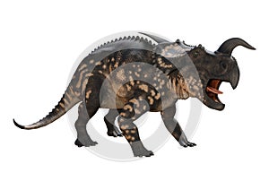 3D Rendering Dinosaur Einiosaurus on White