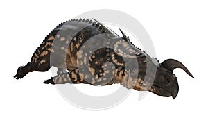 3D Rendering Dinosaur Einiosaurus on White