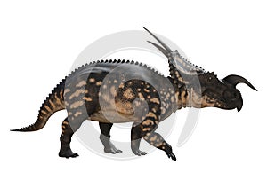 3D Rendering Dinosaur Einiosaurus on White