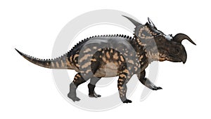 3D Rendering Dinosaur Einiosaurus on White