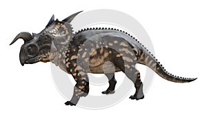 3D Rendering Dinosaur Einiosaurus on White