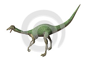 3D Rendering Dinosaur Gallimimus on White