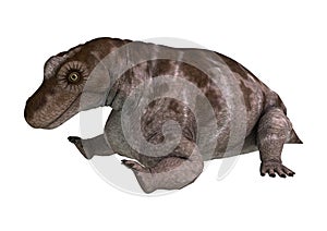 3D Rendering Dinosaur Keratocephalus on White