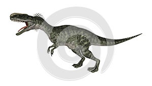 3D Rendering Dinosaur Monolophosaurus on White