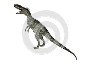 3D Rendering Dinosaur Monolophosaurus on White