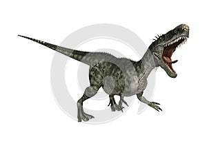 3D Rendering Dinosaur Monolophosaurus on White