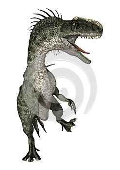 3D Rendering Dinosaur Monolophosaurus on White