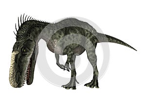 3D Rendering Dinosaur Monolophosaurus on White