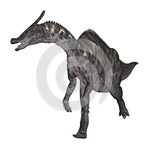 3D Rendering Dinosaur Saurolophus on White