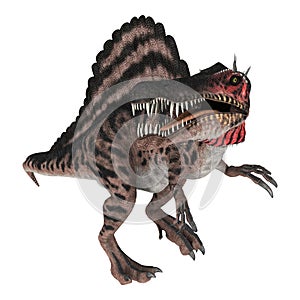 3D Rendering Dinosaur Spinosaurus on White