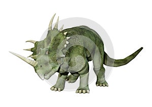 3D Rendering Dinosaur Styracosaurus on White