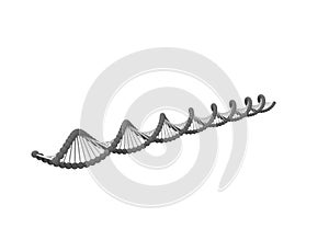 3d rendering of DNA string isolated in white background