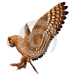 3D Rendering Eagle Owl on White