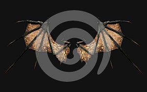 3D rendering of a fantasy dragon isolated on a black background.