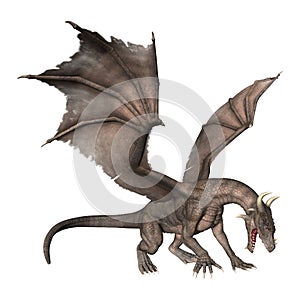 3D Rendering Fantasy Dragon on White