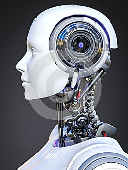 3D rendering of a female android robot head in side view