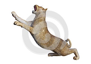 3D Rendering Female Lion on White