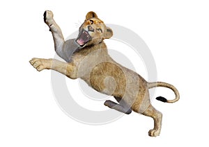 3D Rendering Female Lion on White