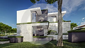 3d rendering of flat roof house with concrete facade