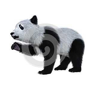 3D rendering of a giant panda cub standing with one paw raised solated on white