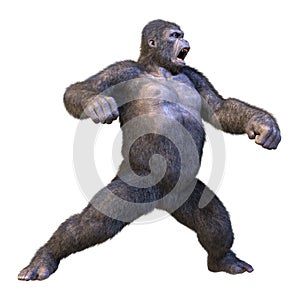 3D Rendering Gorilla Ape on White