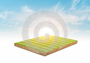 3D Rendering. Green grass soccer field and sky cloud background