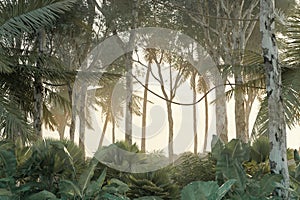 3d rendering of green jungle in the evening sunshine