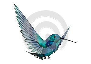 3D Rendering Humming Bird on White