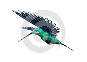 3D Rendering Humming Bird on White