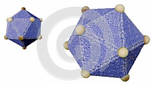 3d rendering of The icosahedral structure of virus