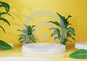 3D Rendering : Illustration of Empty podium or pedestal display on white background with green leaf plant decorate and success con