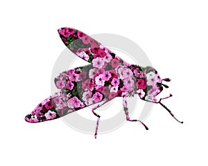 3d rendering illustration of a fly composed out of purple and pink flowers on a white background