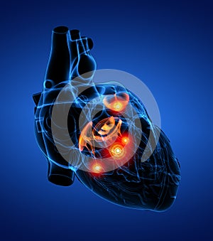 3D rendering illustration of heart