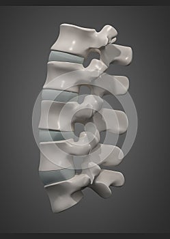 3D rendering illustration of lumbar