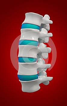 3D rendering illustration of lumbar