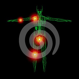 3D rendering illustration of lymphatic system