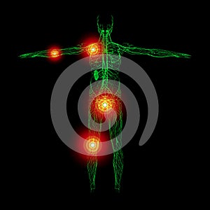 3D rendering illustration of Lymphatic system