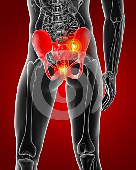 3D rendering illustration of pelvis