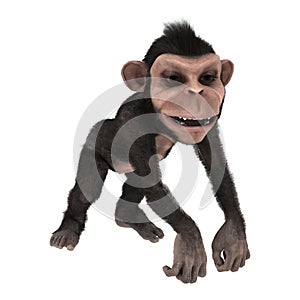 3D Rendering Little Chimpanzee on White