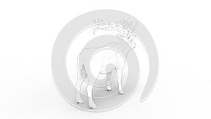 3d rendering of a male deer isolated in white background